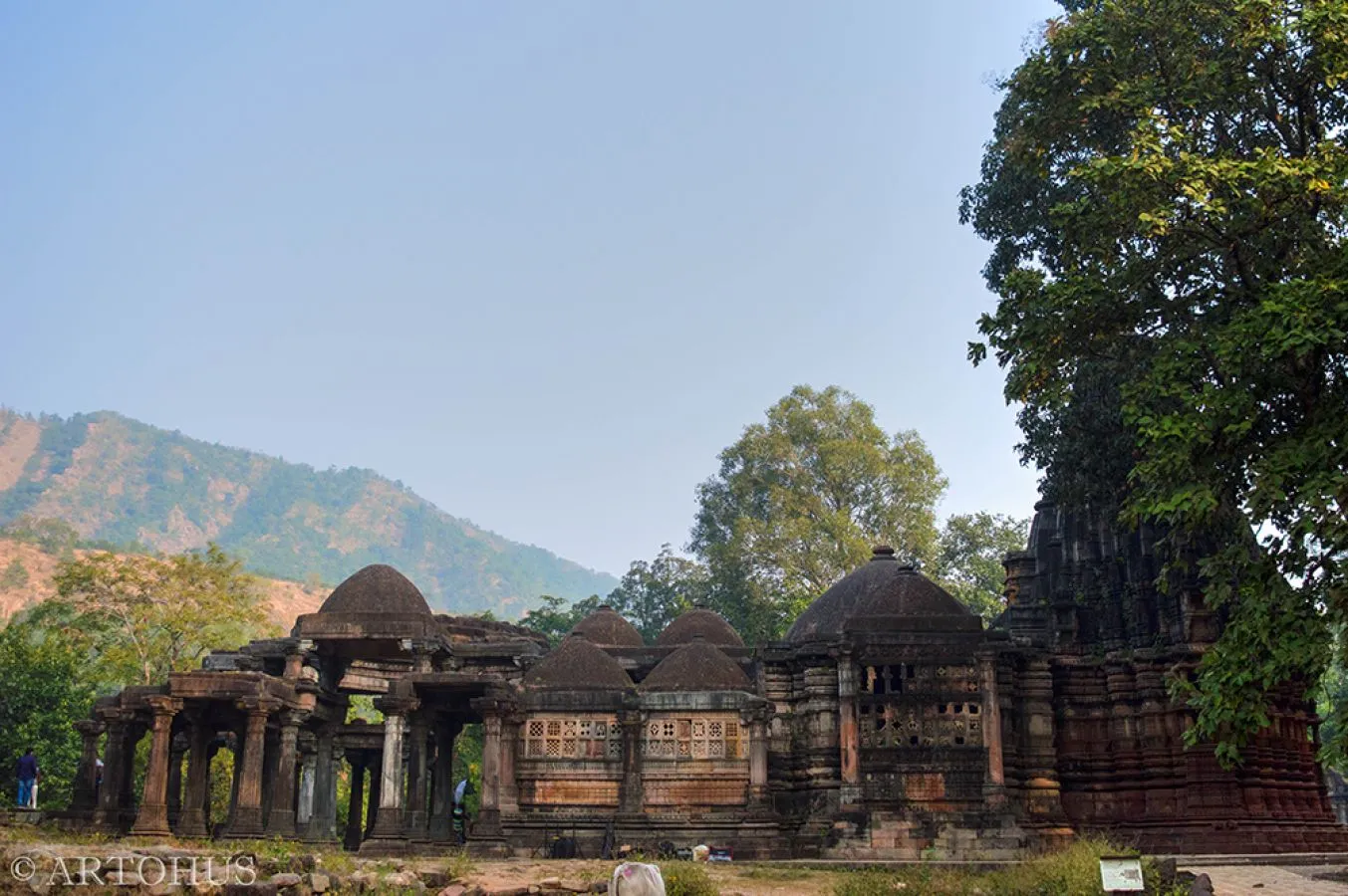 Thumb 1